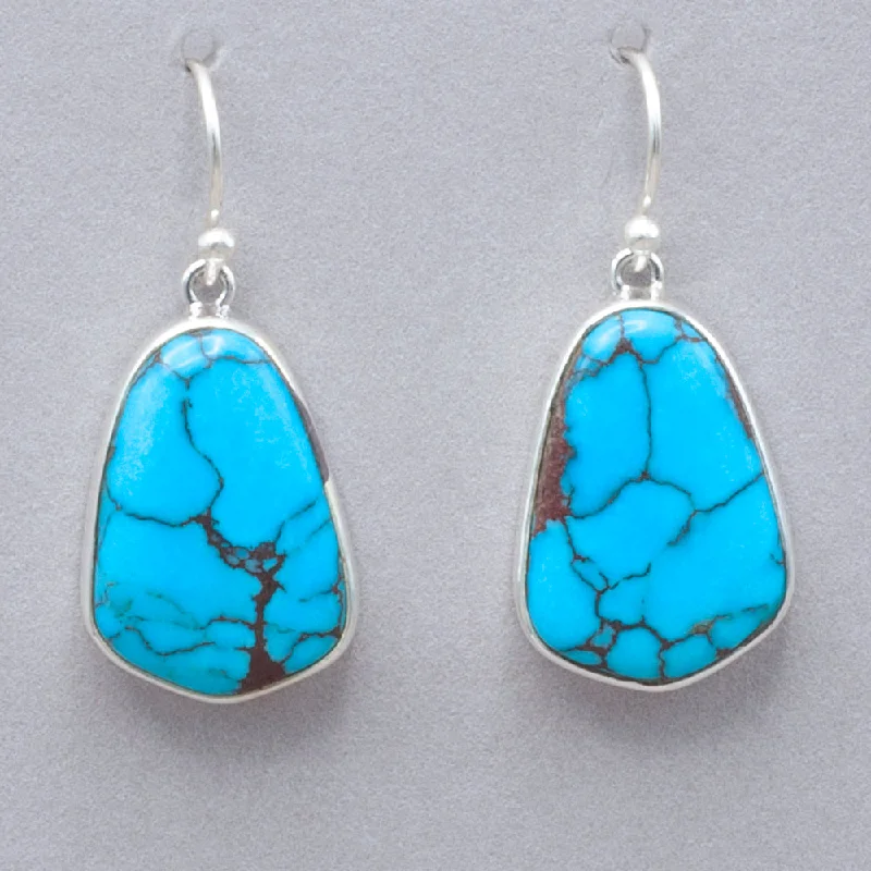 Acleoni Prince Turquoise Earrings